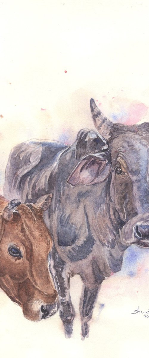 Two Cows by Shweta  Mahajan