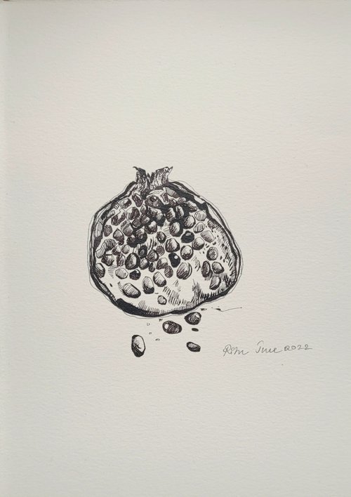 Pomegranate by Ritu