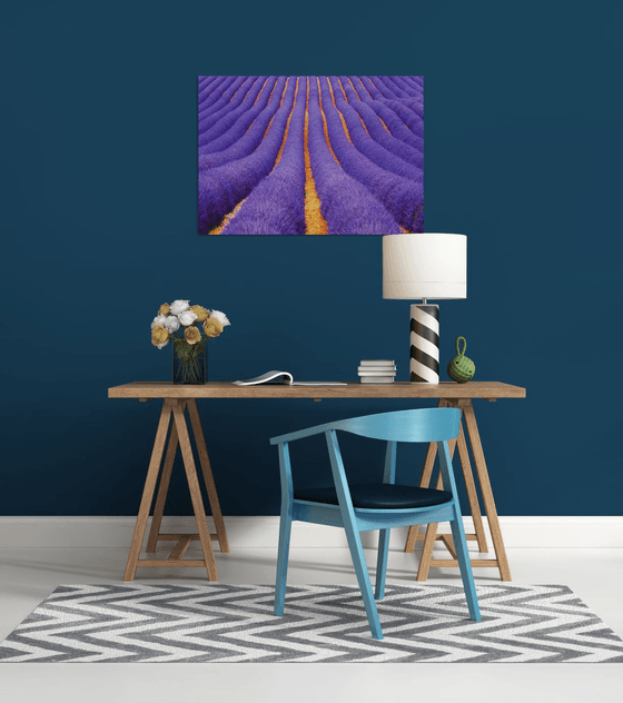 Lavender Geometry - Landscape Art Photo