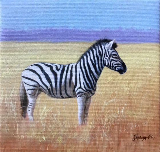 Zebra