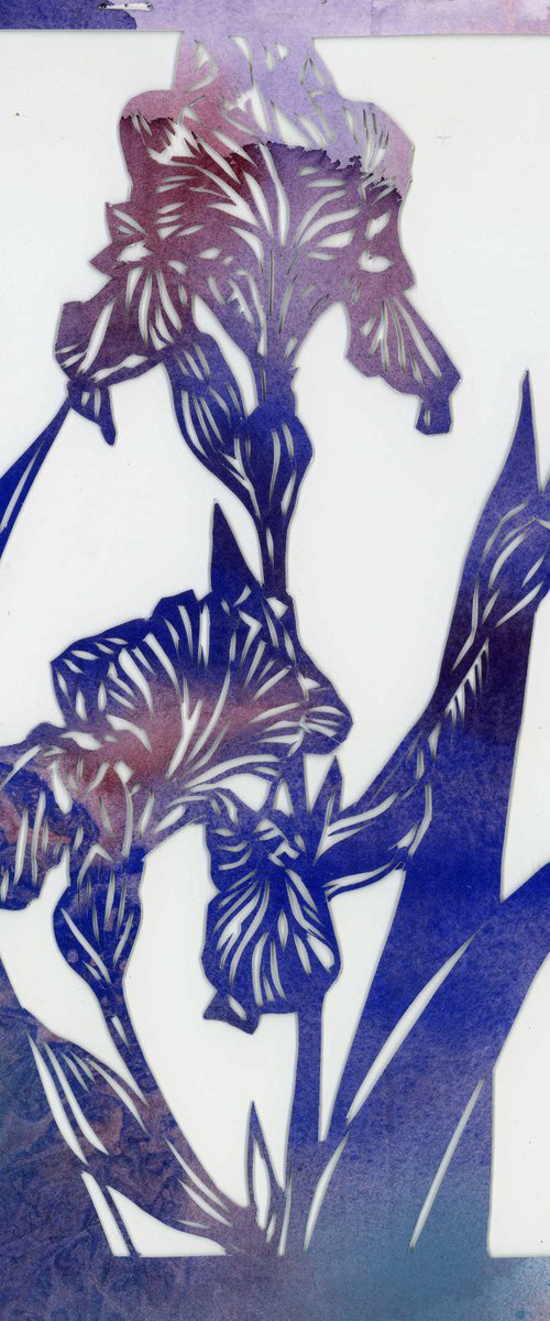 blue iris watercolor papercut by Alfred  Ng