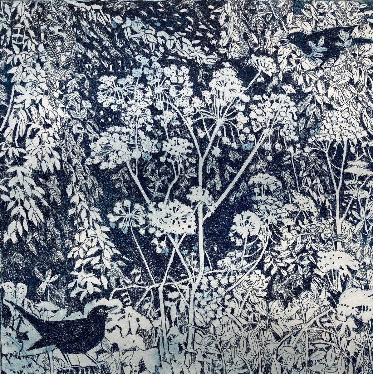 Illustrative Botanical Etchings & Engravings By Janis Goodman, 11 X 11, Counterpoint, Original Artwork