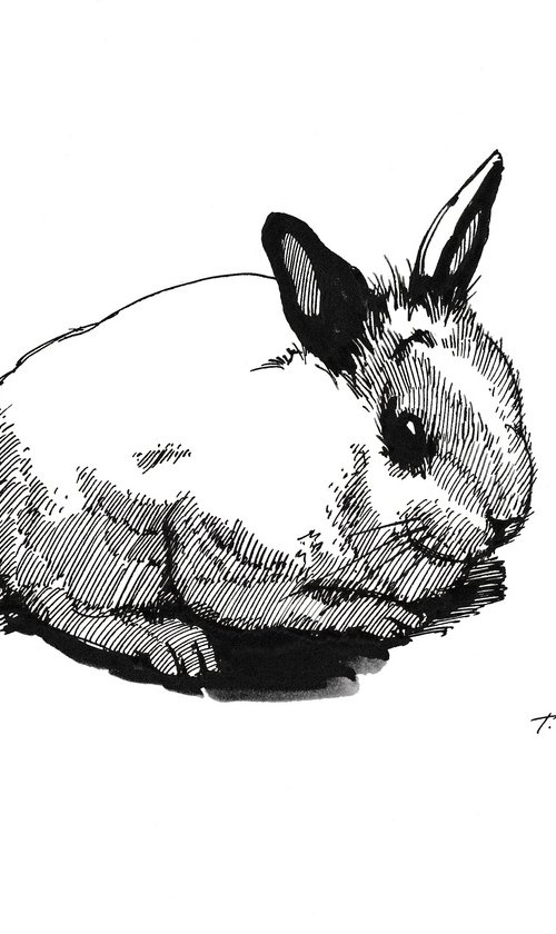 White Rabbit with Black Ears by Tatiana Alekseeva