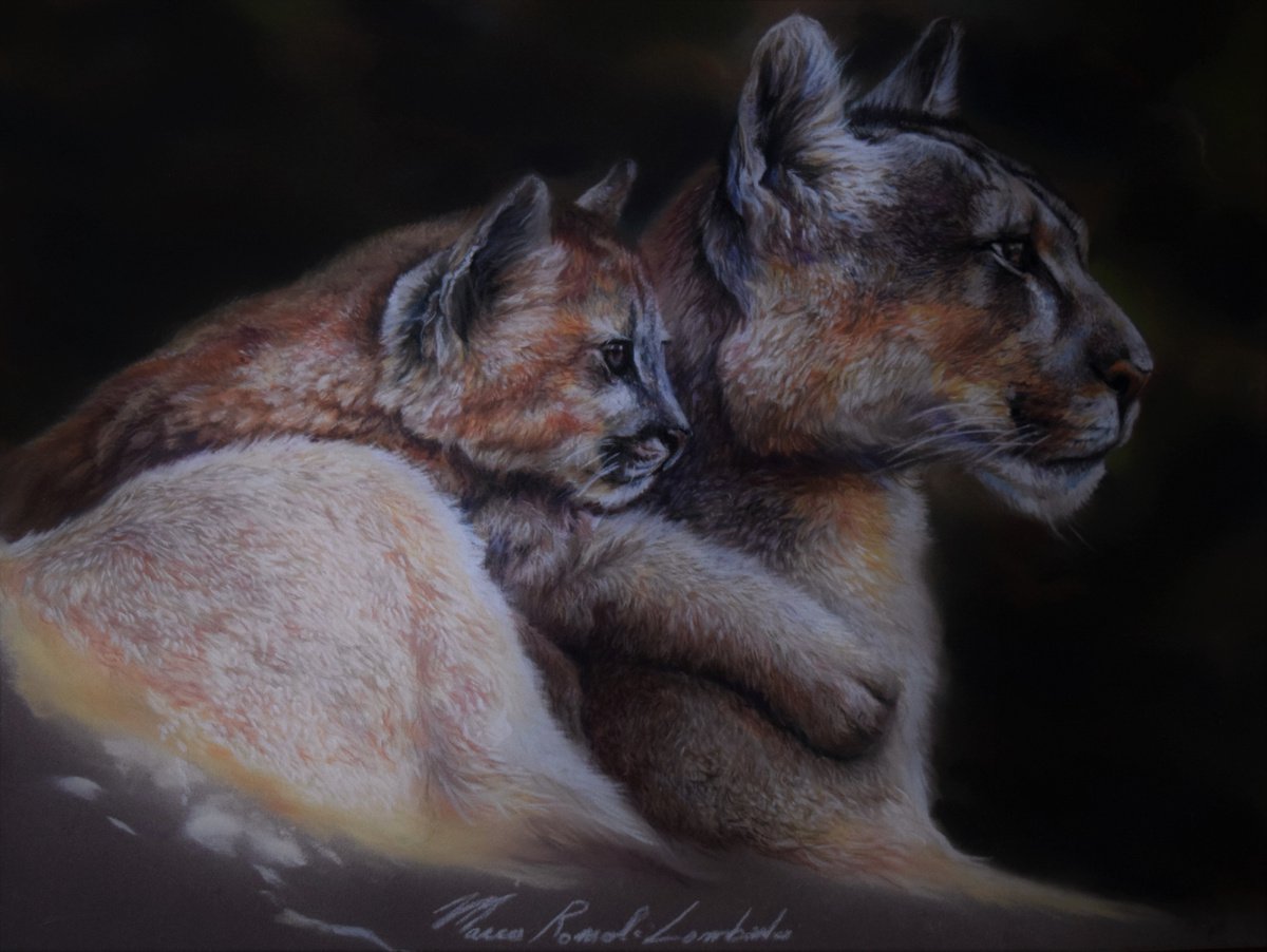 MOTHER AND SON by Marco Lombardo