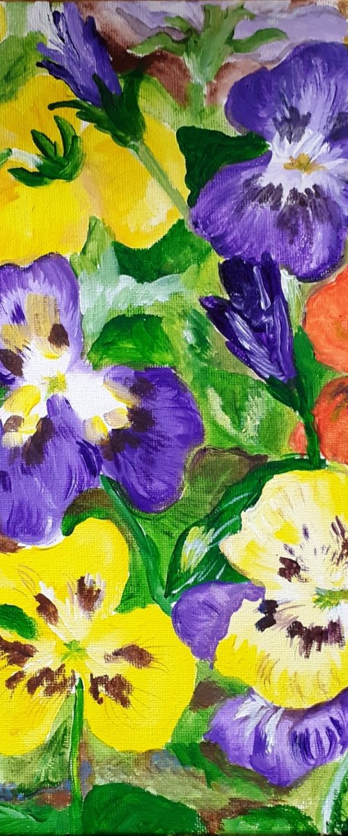 pansies; picture perfect by Sandra Fisher