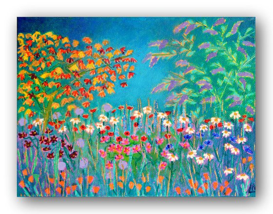 Little Wilderness 2 - poppies, daisies, cosmos and buddleja