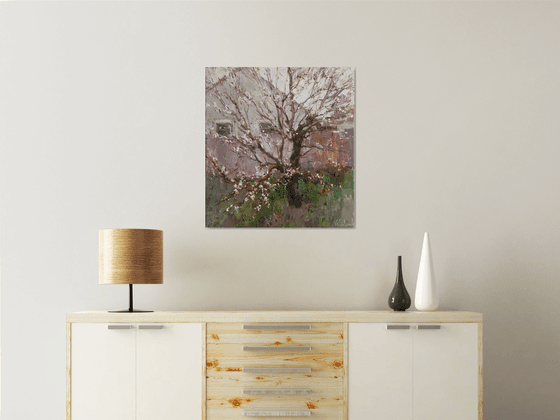 Apricot Tree Near the House Original oil painting