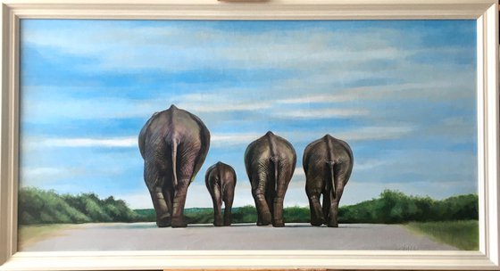 Elephants Homeward Bound