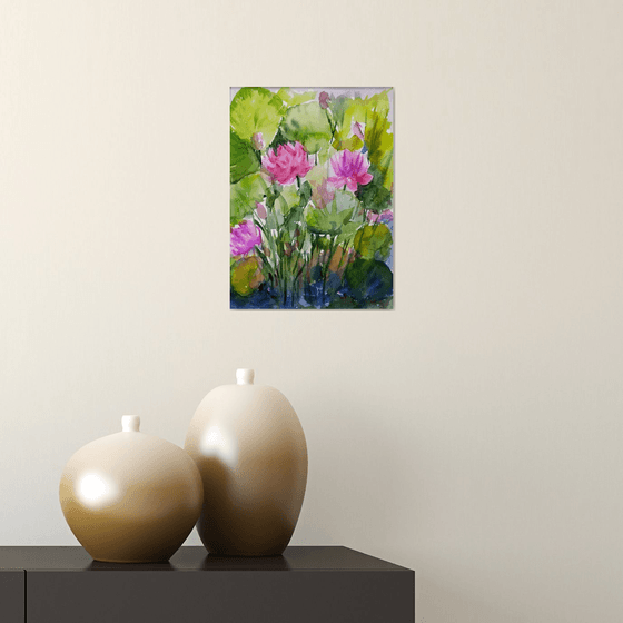 Pink water lilies -2.  Garden pond