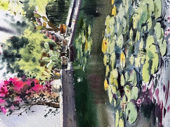 Pond with water lilies #2