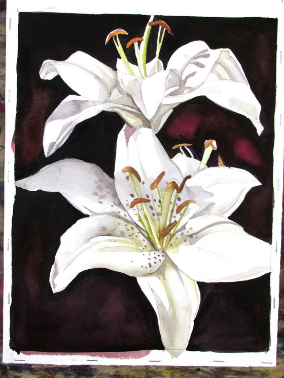 white lilies watercolor floral