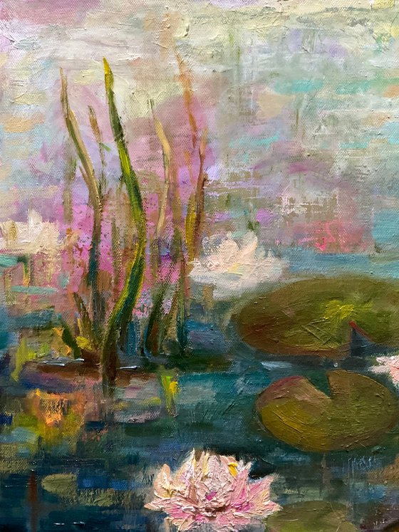 EVENING WATER LILIES