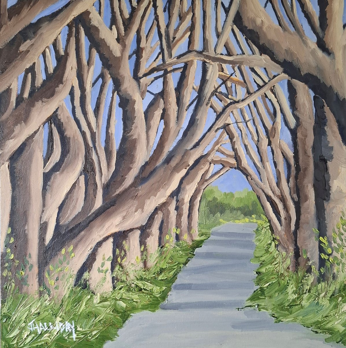 Impressionistic Landscape Oil Painting By John Halliday, 16 X 16, The Dark Hedges, Original Artwork