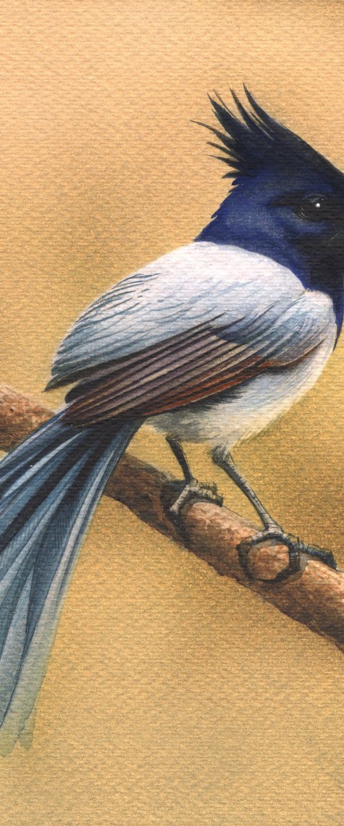 Bird CCXLIV by REME Jr.