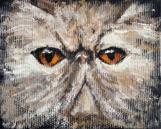 CAT V framed / FROM MY A SERIES OF MINI WORKS CATS/ ORIGINAL OIL PAINTING