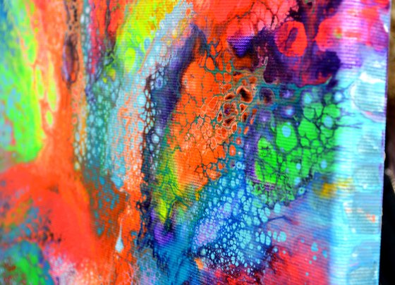 The Voice of a Dream 5