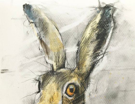 Hare #32