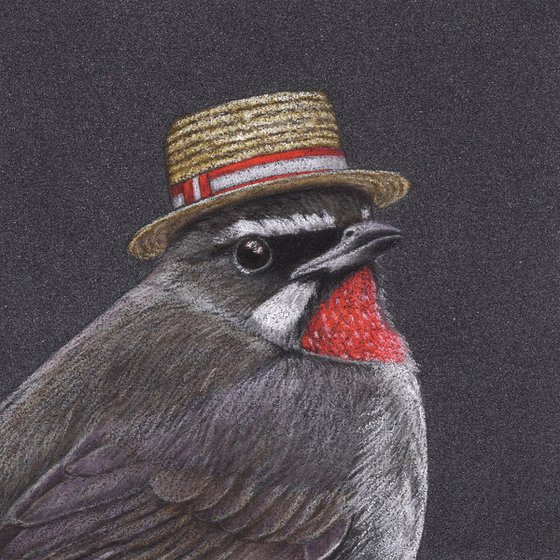Original pastel drawing bird "Siberian rubythroat"