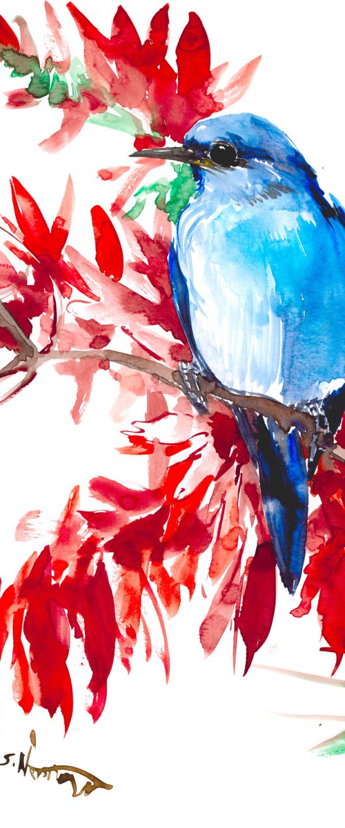 mountain Bluebird and berries by Suren Nersisyan