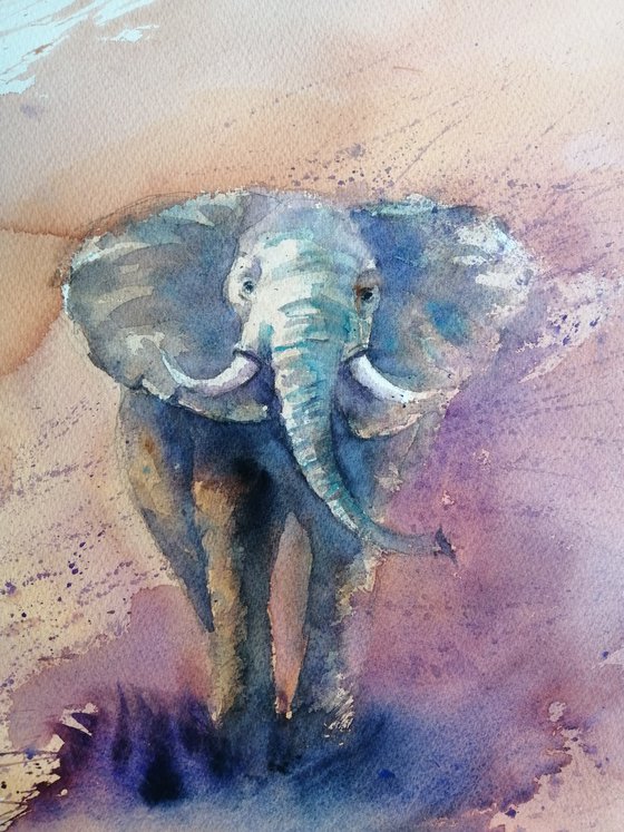 elephant 8