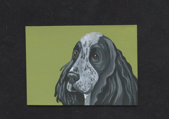 ACEO ATC Original Miniature Painting Cocker Spaniel Pet Dog Art-Carla Smale