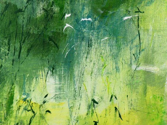 Misty Spring Woodland