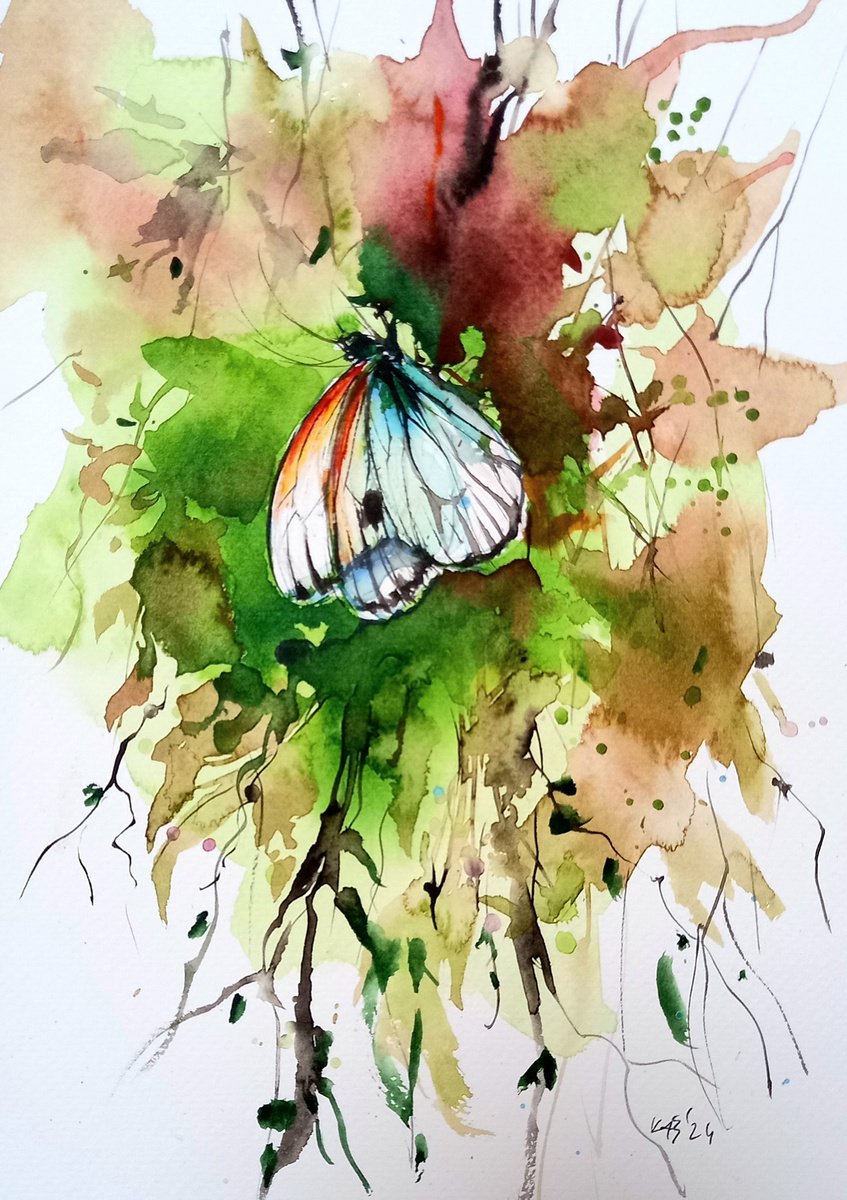 Beautiful butterfly by Kovacs Anna Brigitta