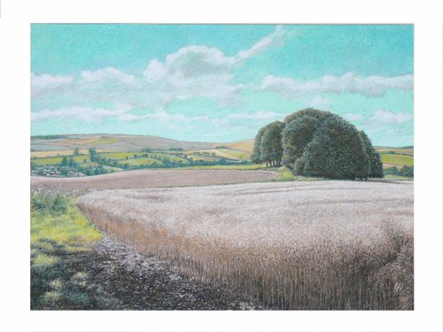 September Wheat by Paul Simpkins