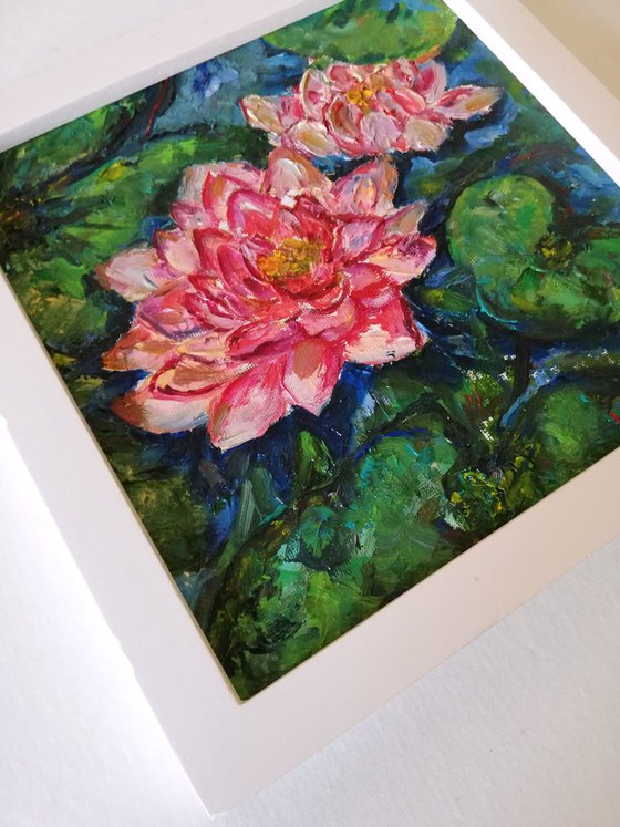 Waterlilies
