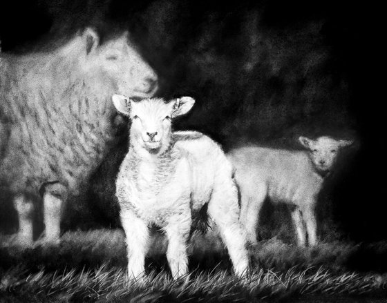 Lynn and Lambs