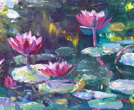 Water Lilies