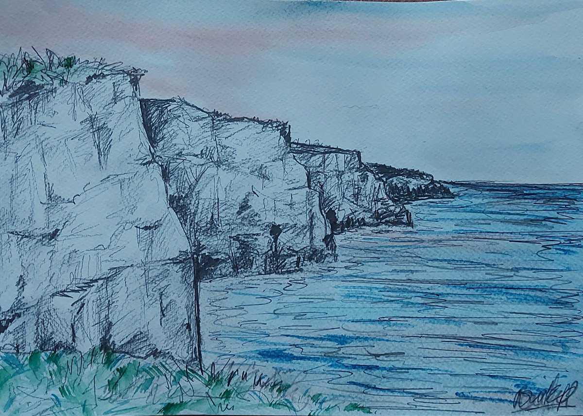 Cliffs of Moher by Niki Purcell