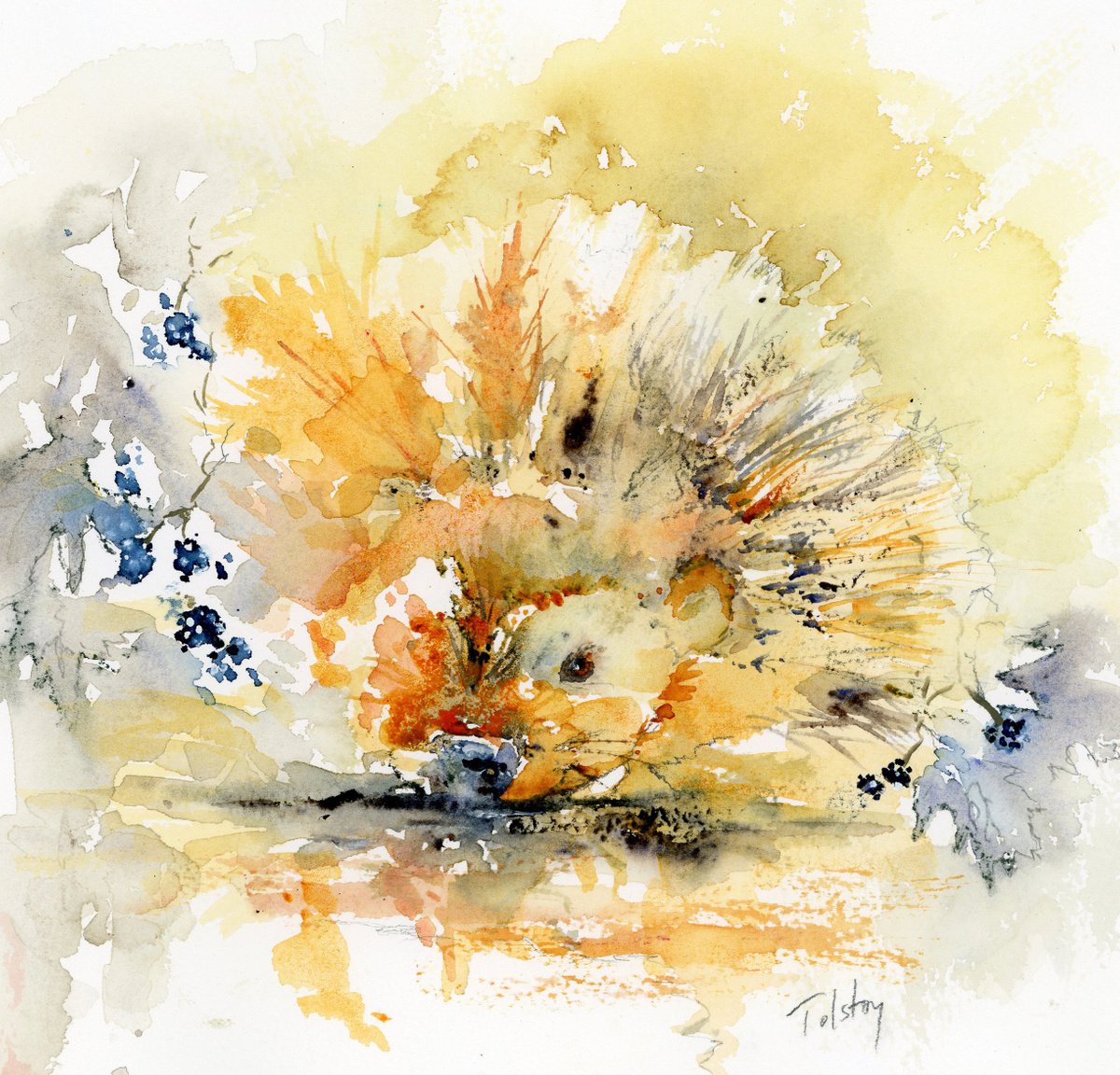 Hidden Hedgehog by Alex Tolstoy