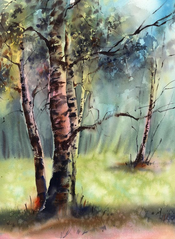 Birch Trees Summer Landscape