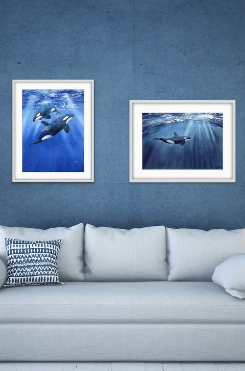 Set of two paintings. Killer whales underwater. Original watercolor artworks. by Evgeniya Mokeeva