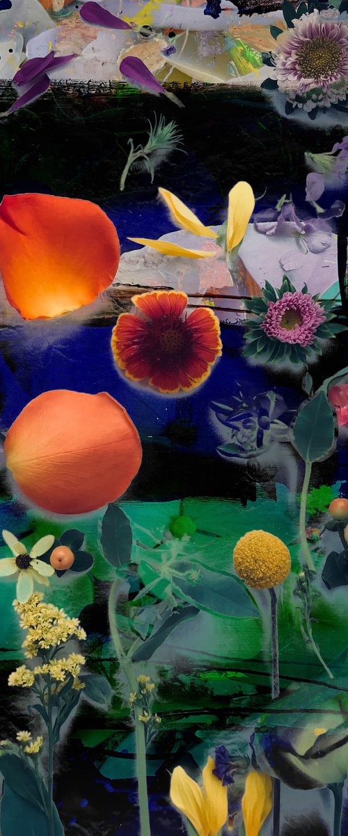 Summer colors 23 by Geert Lemmers FPA