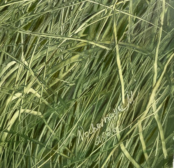 Grass