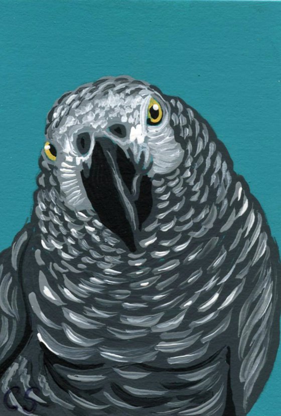 ACEO ATC Original Miniature Painting African Gray Parrot Pet Bird Art-Carla Smale