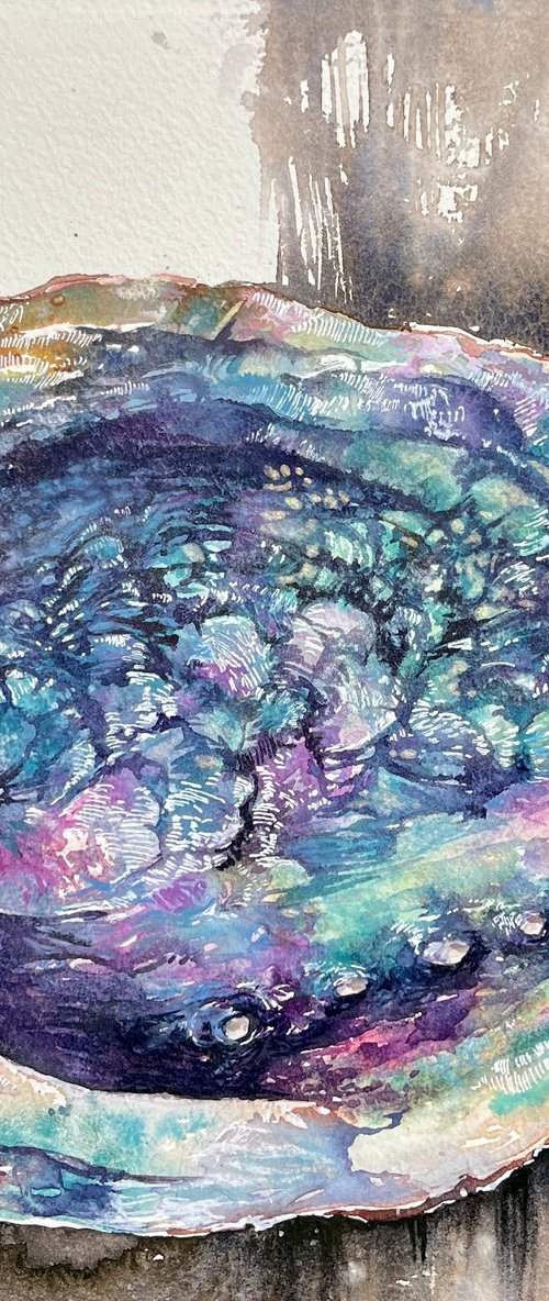 Abalone shell#8 by Larissa Rogacheva
