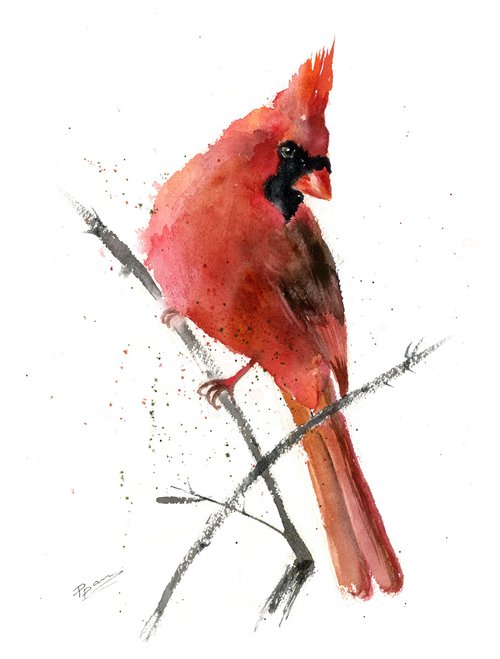Watercolor Cardinal by Olga Shefranov (Tchefranov)