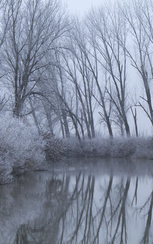 Winter dreamtime by Sonja  Čvorović