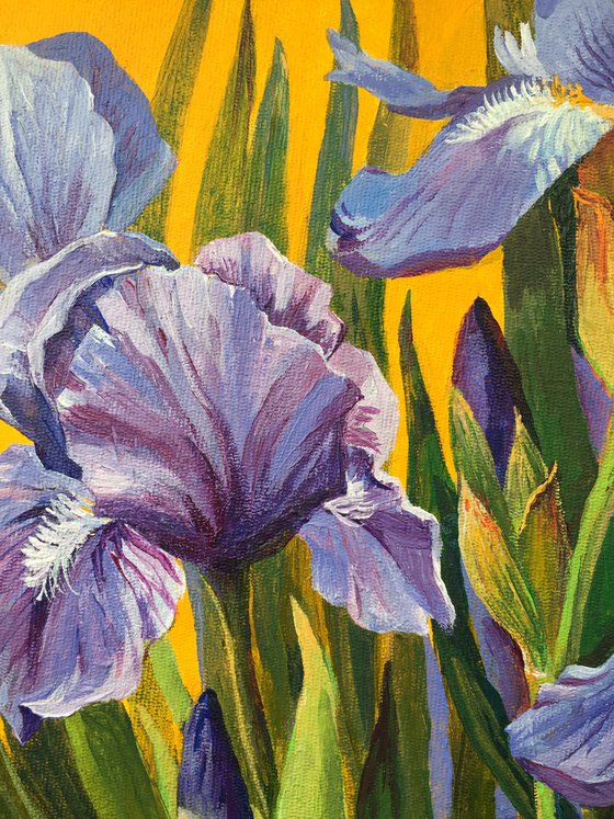 Irises. Spring 2022. No war. Round bright painting.