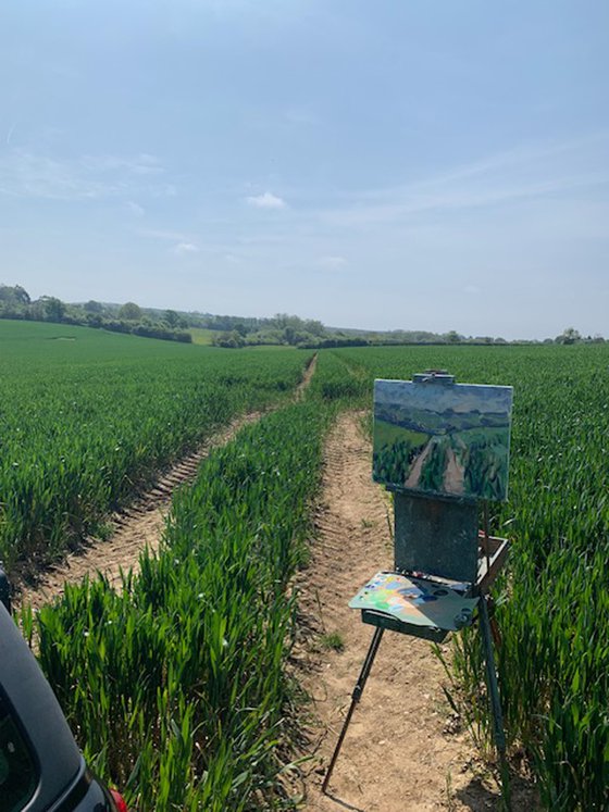 Field near Slindon