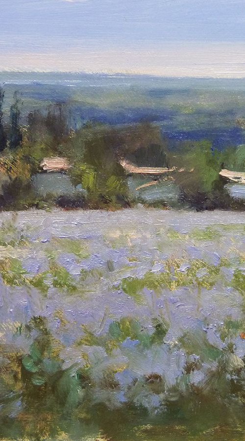 Mas Provençal by Pascal Giroud
