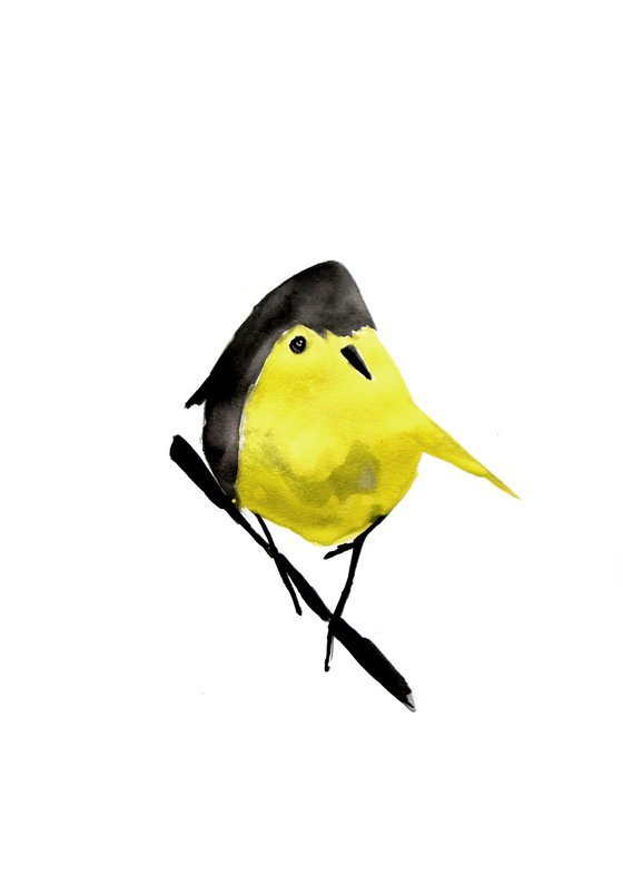 Birds