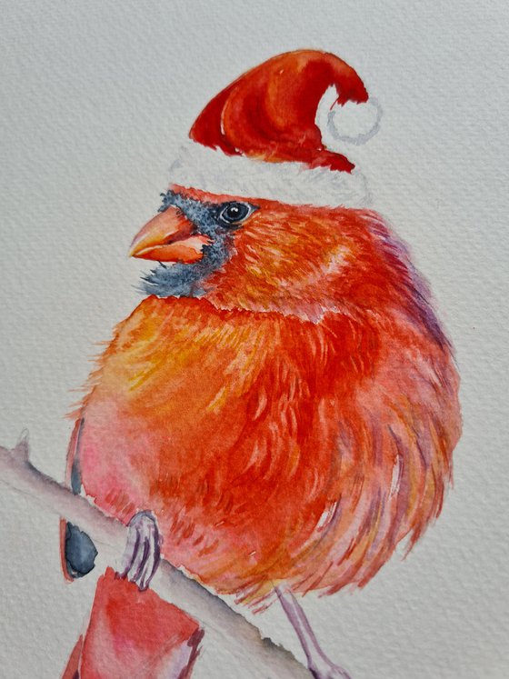 Feeling Festive with Cardinal