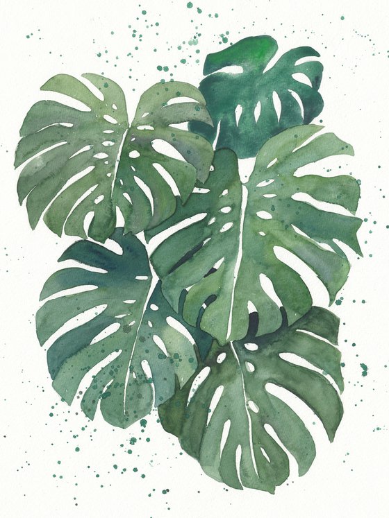 Monstera Deliciosa Abstract Leaves
