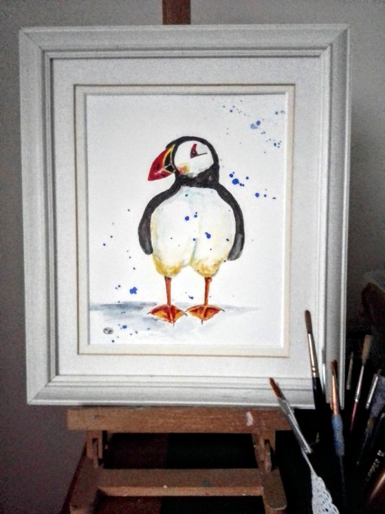 Puffin Standing