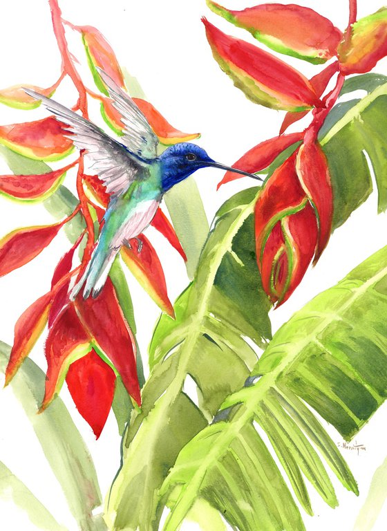 Hummingbird and Tropical Flowers