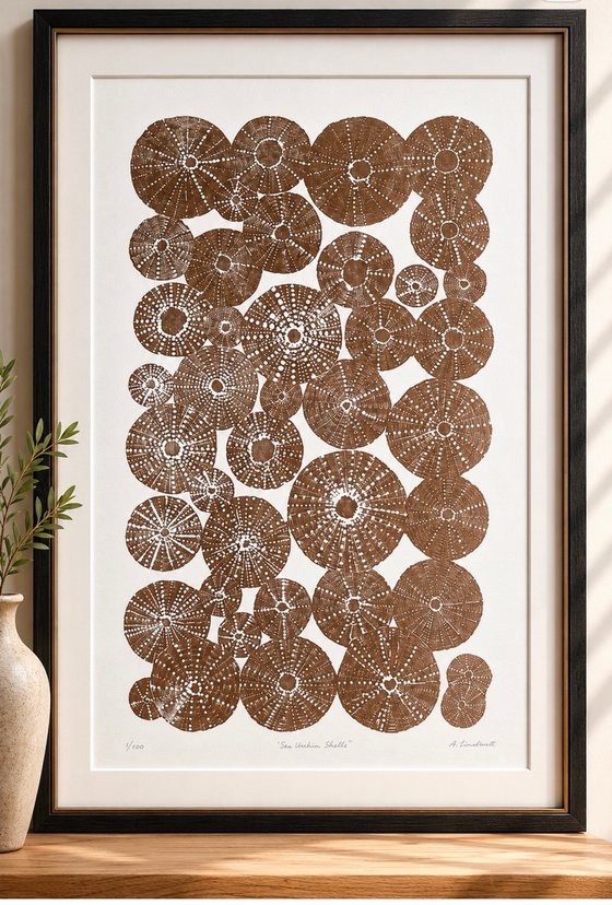 Sea Urchin Shells